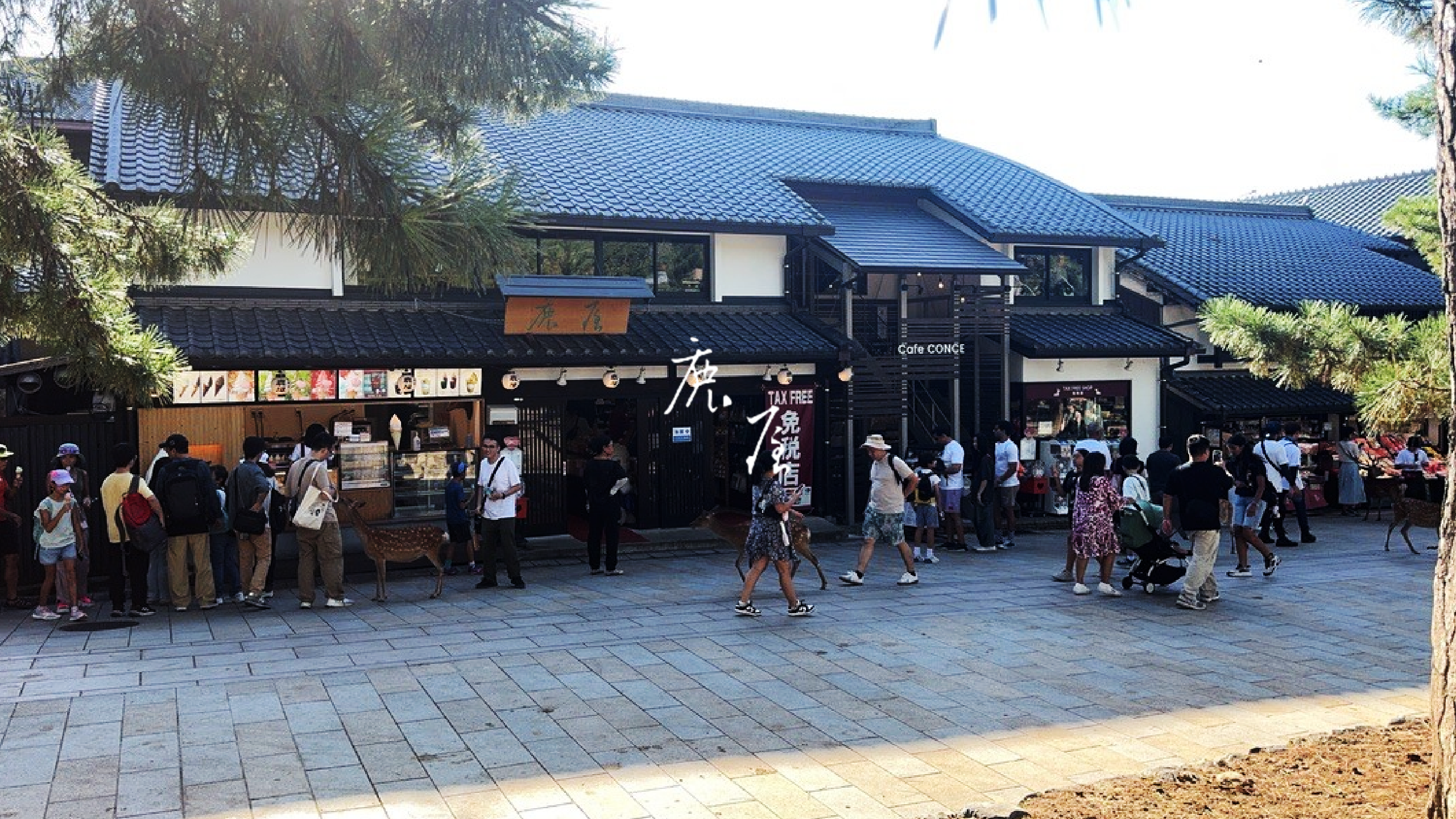 株式会社 鹿屋